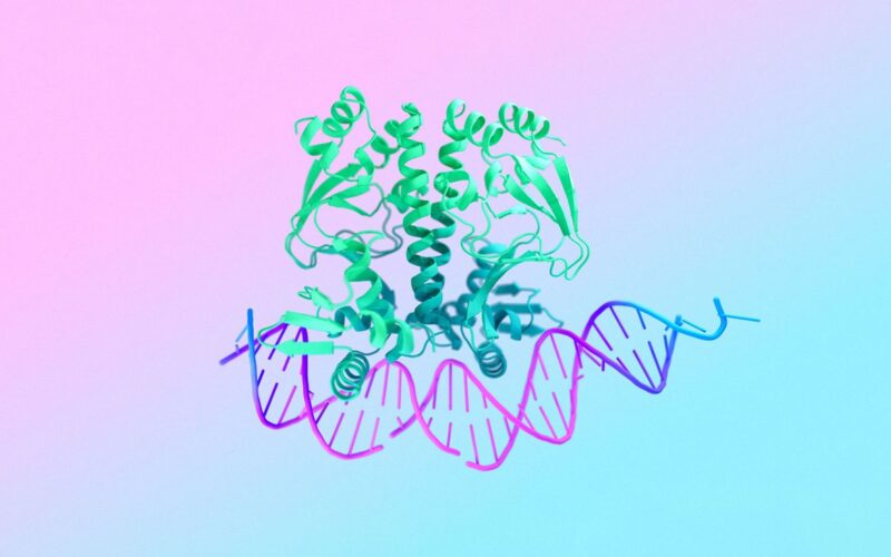 AlphaFold 3 predicts the structure and interactions of all of life’s molecules