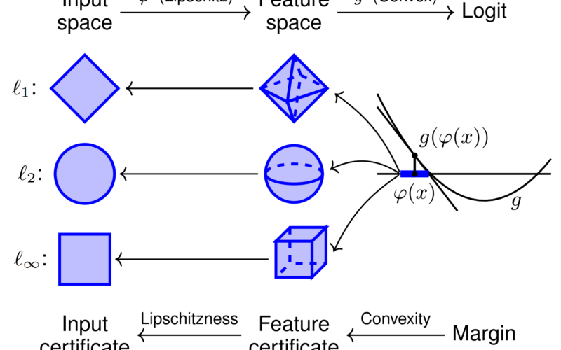 Asymmetric Certified Robustness via Feature-Convex Neural Networks