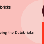 Introducing the Databricks AI Fund