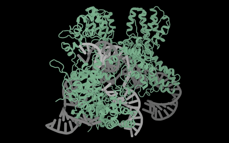 New AI generates CRISPR proteins unlike any seen in nature