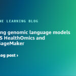 Pre-training genomic language models using AWS HealthOmics and Amazon SageMaker | Amazon Web Services