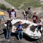 3 boys hunting for fossils made the ultimate discovery: a young T-rex skeleton that scientists have dubbed Teen Rex