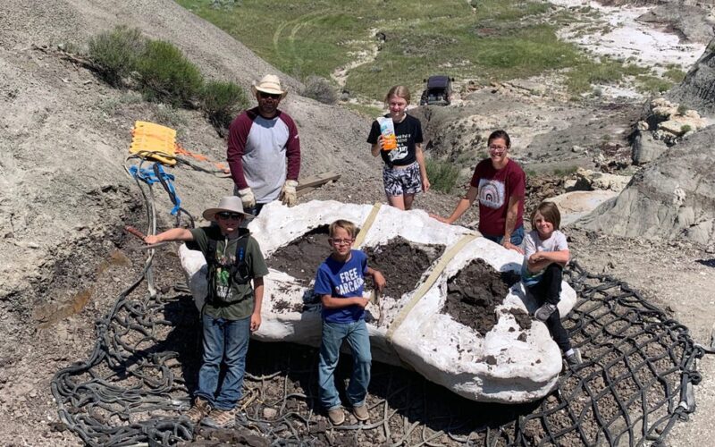 3 boys hunting for fossils made the ultimate discovery: a young T-rex skeleton that scientists have dubbed Teen Rex