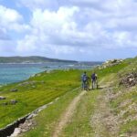 AI comes to Ireland's remote Islands through Microsoft's 'Skill Up' program - AI News