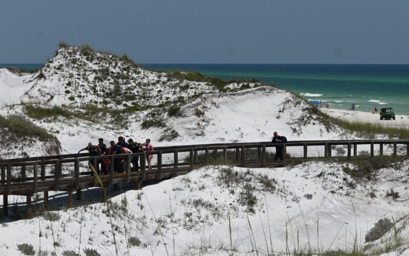 Back-to-back shark attacks in Florida, 2 critically injured. Why the Sunshine Sate tops the rankings of shark bites globally.