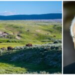 Billionaire Joe Ricketts' latest drama is right out of 'Yellowstone'