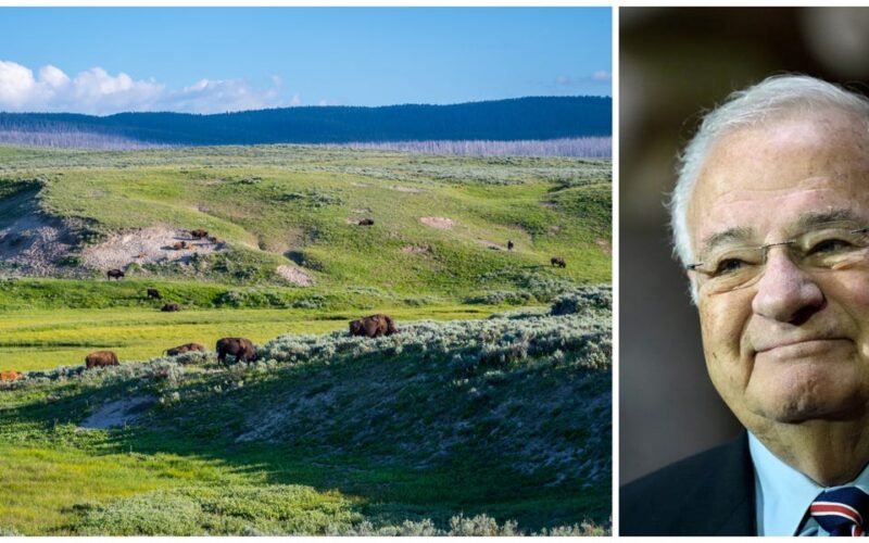 Billionaire Joe Ricketts' latest drama is right out of 'Yellowstone'