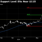 Bitcoin and Nvidia Slumps Jolt Market’s Get-Rich-Quick Brigade