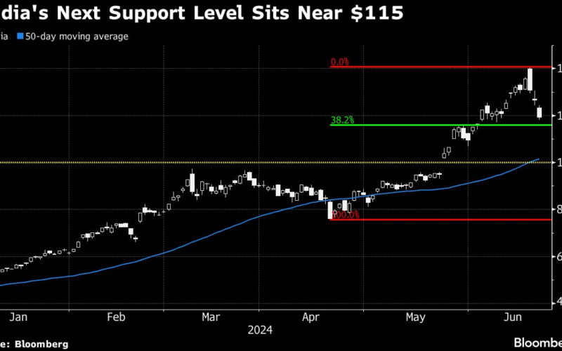 Bitcoin and Nvidia Slumps Jolt Market’s Get-Rich-Quick Brigade