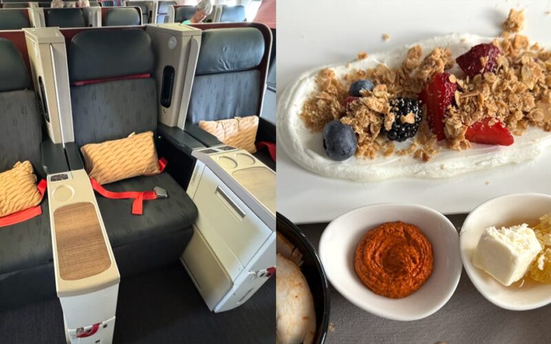 I flew over 22 hours in business class with Turkish Airlines. The food and airport lounge were unreal.