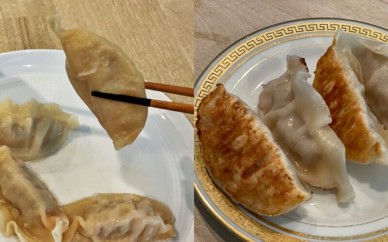 I made potstickers in 3 different appliances, and there's really only one way to do it right