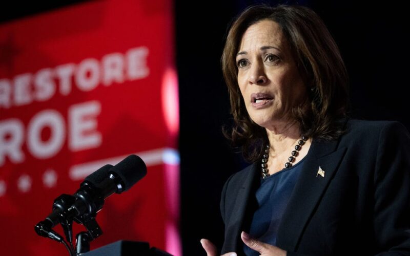 Kamala Harris' camp is mad that Newsom and Whitmer are being floated as Biden replacements over the VP