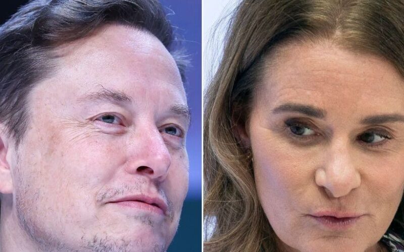 Looks like Elon Musk just added Melinda French Gates to his list of billionaires' ex-wives who 'might be the downfall of Western civilization'