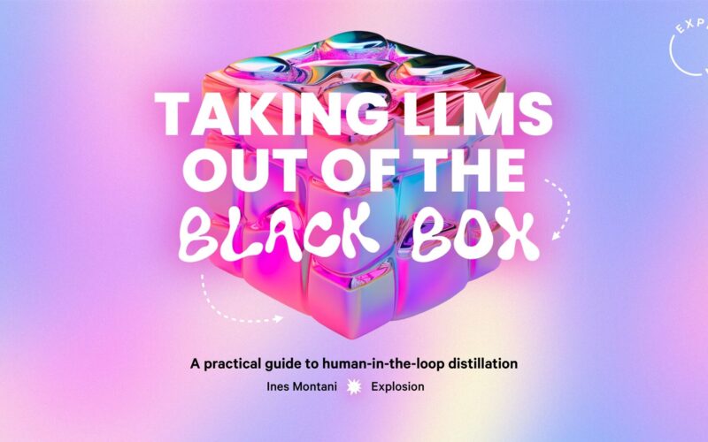 Taking LLMs out of the black box: A practical guide to human-in-the-loop distillation