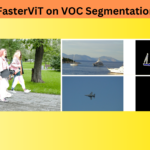 Training FasterViT on VOC Segmentation Dataset