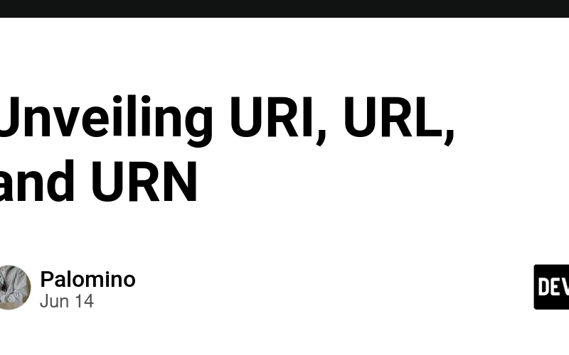 Unveiling URI, URL, and URN