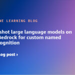 Use zero-shot large language models on Amazon Bedrock for custom named entity recognition | Amazon Web Services