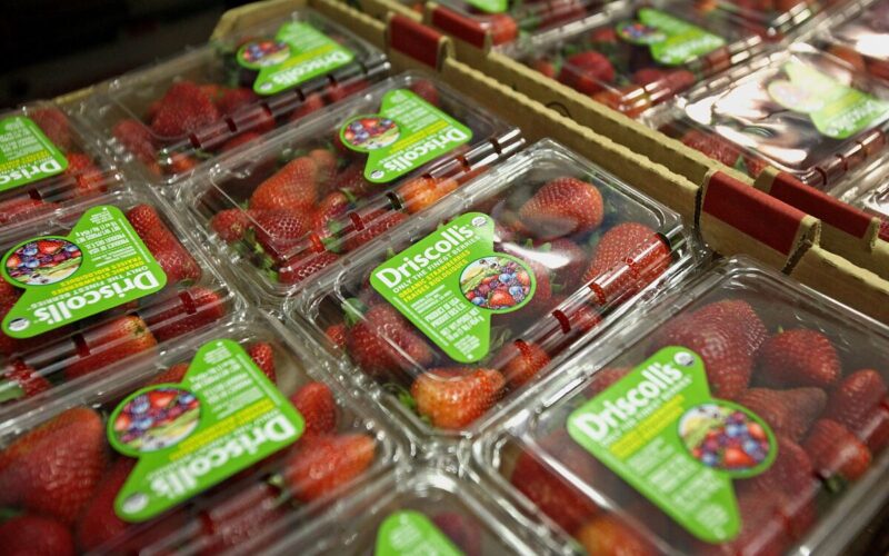 Alphabet Winds Down Mineral, Licenses Ag Technology to Berry Producer Driscoll’s