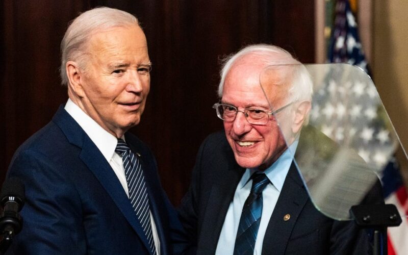 Bernie Sanders concedes that Biden  'can't put three sentences together' sometimes