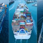 I've sailed with every Royal Caribbean cruise line — here's how to pick the best one for you