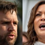 JD Vance admitted in private that Biden getting swapped out for Harris was like a 'political sucker punch'