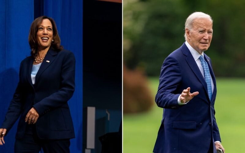 Kamala Harris won't save Democrats if she takes over for Biden, warns historian who correctly predicted 9 of the last 10 elections