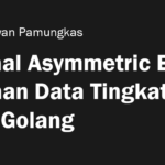 Mengenal Asymmetric Encryption: Keamanan Data Tingkat Tinggi dengan Golang