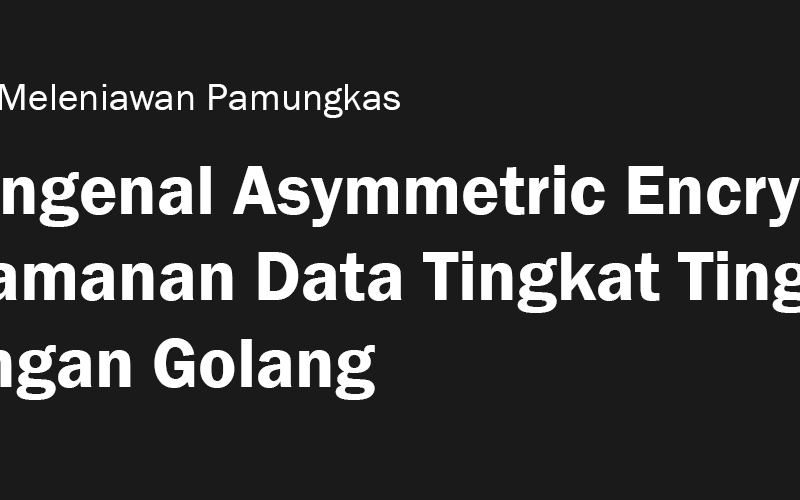 Mengenal Asymmetric Encryption: Keamanan Data Tingkat Tinggi dengan Golang