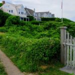 Nantucket's wealthy had another problem on their beaches this week