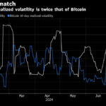 Nvidia Slide Underscores Volatility Stalking US’s Hottest Stock