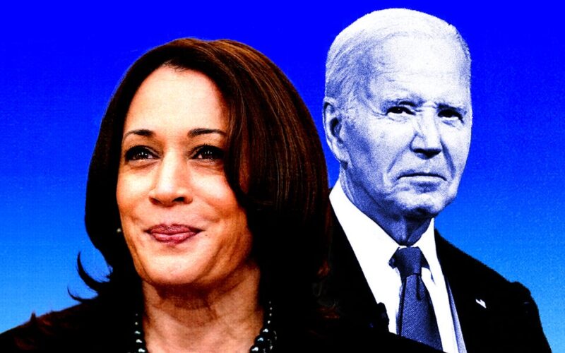 Replacing Biden with anyone but Harris would be a real headache for Democrats