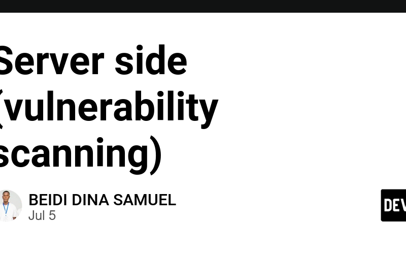 Server side (vulnerability scanning)