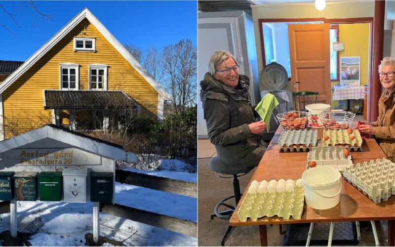 This farm just outside Oslo serves as a day care for people with dementia. It helps give them something to care for, too.