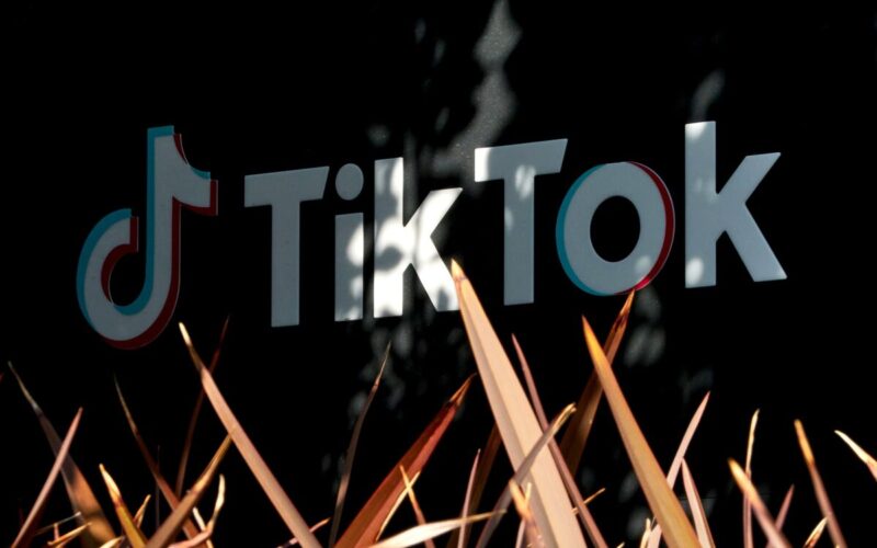 TikTok Loses First Court Challenge to EU’s Big Tech Crackdown