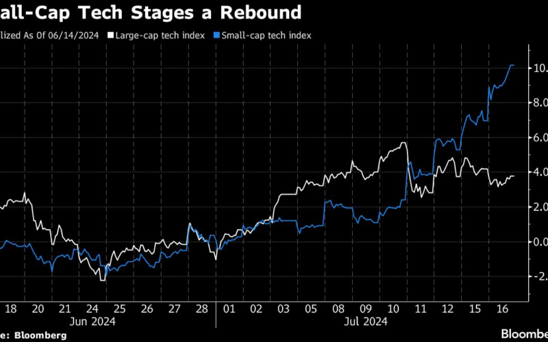 ‘AI Laggards’ Find Favor as Magnificent Seven Stocks Lose Luster