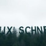 A beginner's guide to the Flux-Schnell model by Black-Forest-Labs on Replicate