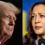 A key Obama-era strategist says Kamala Harris may be riding the hype wave, but it's still Trump's race to lose