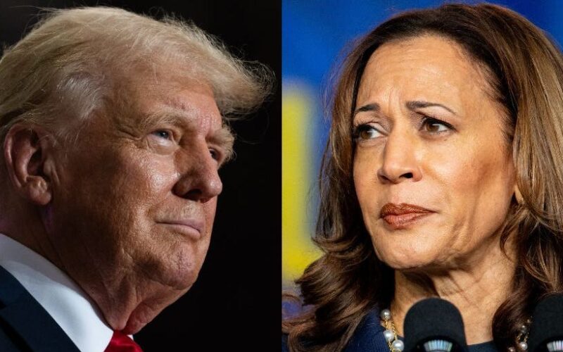 A key Obama-era strategist says Kamala Harris may be riding the hype wave, but it's still Trump's race to lose