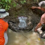 An amateur fossil hunter found a 7-foot-long mammoth tusk that's thousands of years old — take a look