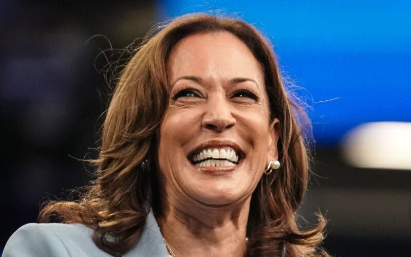 Brat boost: 10x the number of Gen Z donors contributed to Harris' campaign in July than Biden's in June