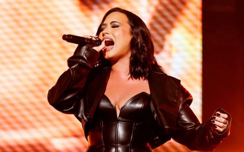 Demi Lovato said she's in a 'weird position' in her career because she didn't have a backup plan