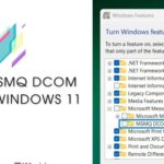 How to Enable MSMQ DCOM Proxy in Windows 11?