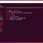 How to Install Windows Subsystem for Linux (WSL) and Run the Ubuntu Subsystem on Windows Using the Terminal