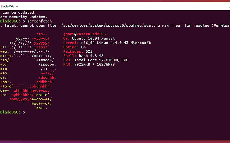 How to Install Windows Subsystem for Linux (WSL) and Run the Ubuntu Subsystem on Windows Using the Terminal