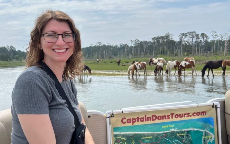 I paid $50 to take a boat tour around a beautiful island in Virginia filled with wild ponies. It should be on everyone's bucket list.