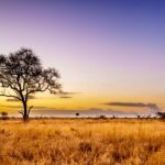 I stayed in a bare-bones bungalow inside Kruger National Park. It was a good value, but I'm not sure I'd do it again.