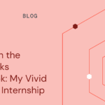 Images in the Databricks Notebook: My Vivid Summer Internship