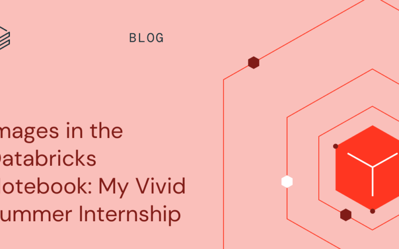 Images in the Databricks Notebook: My Vivid Summer Internship