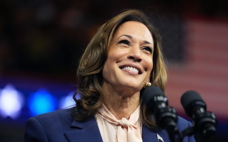 Kamala Harris' Vogue-ready campaign merchandise may be another big marketing win