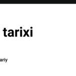 .Net tarixi